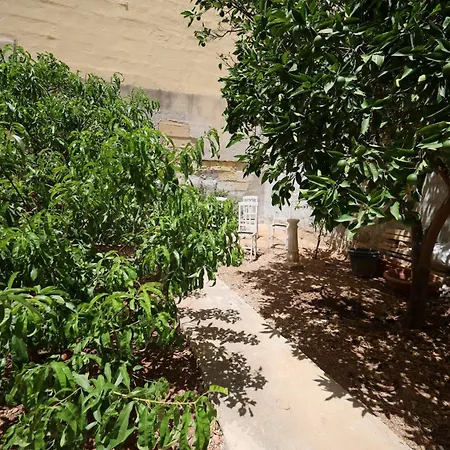Traditional Maltese Townhouse With Backyard Garden And Seafront Location בית נופש
