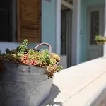 Traditional Maltese Townhouse With Backyard Garden And Seafront Location Holiday home Marsaskala