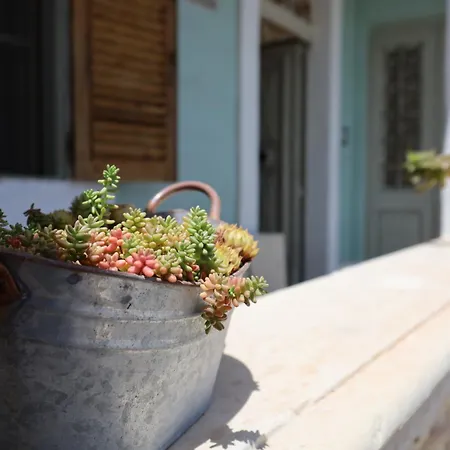 Traditional Maltese Townhouse With Backyard Garden And Seafront Location Vakantiehuis Marsaskala