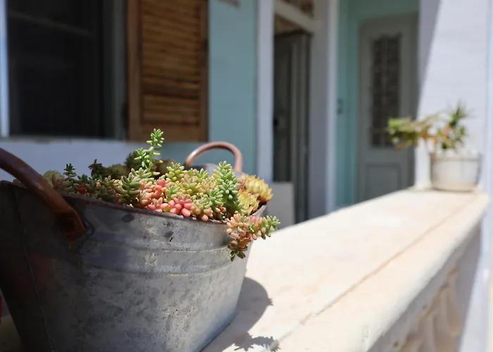 Traditional Maltese Townhouse With Backyard Garden And Seafront Location Дом отдыха Марсаскала